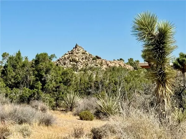 0 Cobalt Road, Yucca Valley, CA 92284