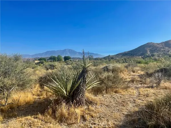 Morongo Valley, CA 92256,49200 Old Mill Road