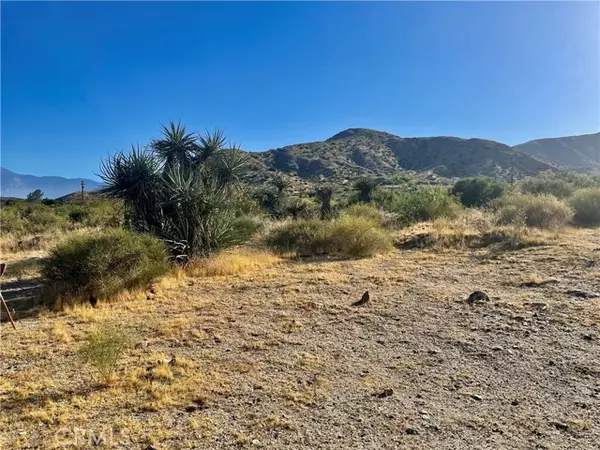 Morongo Valley, CA 92256,49200 Old Mill Road