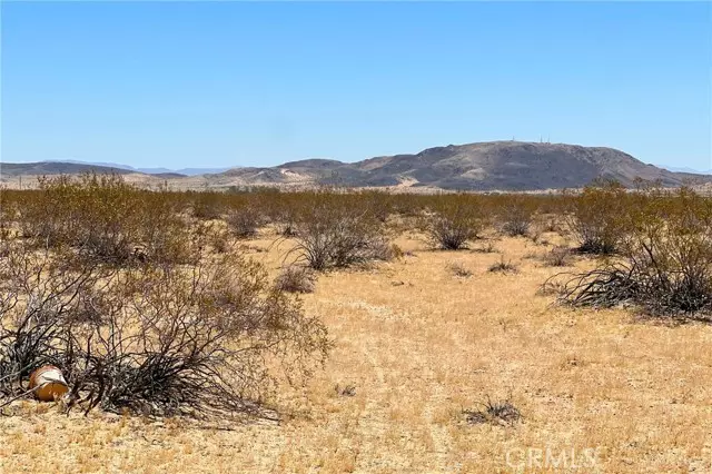 Joshua Tree, CA 92252,6335 Pelican