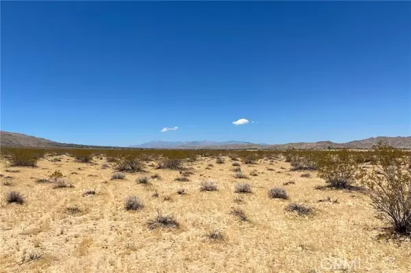 Joshua Tree, CA 92252,6335 Pelican