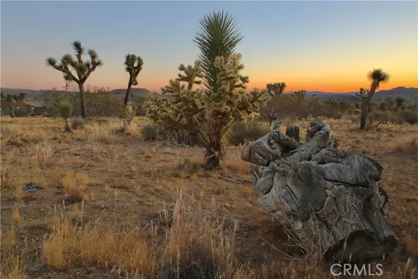 Joshua Tree, CA 92284,7635 La Contenta Road