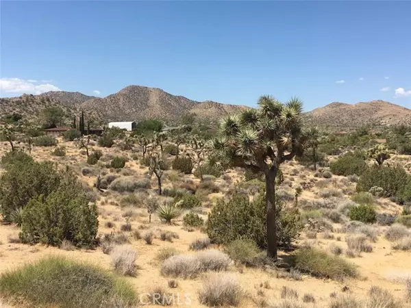 Yucca Valley, CA 92284,58958 Carmelita Circle