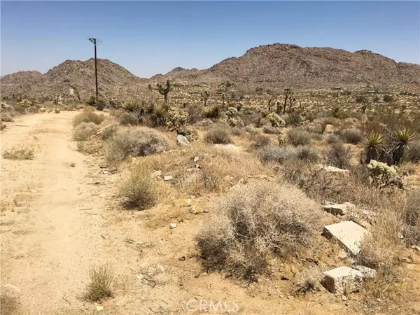 Joshua Tree, CA 92252,62551 Turtle Road