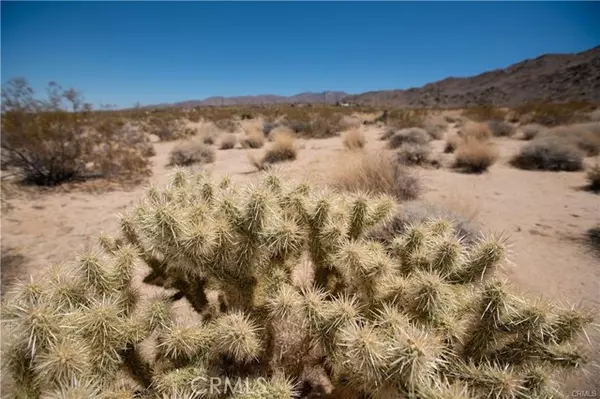 Twentynine Palms, CA 92277,14 Wolfe