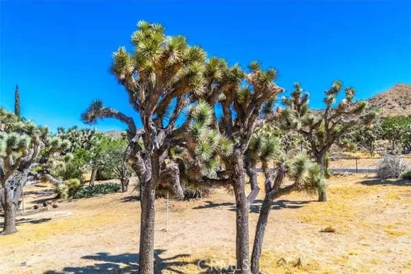 Yucca Valley, CA 92284,0 Hidden Gold Drive