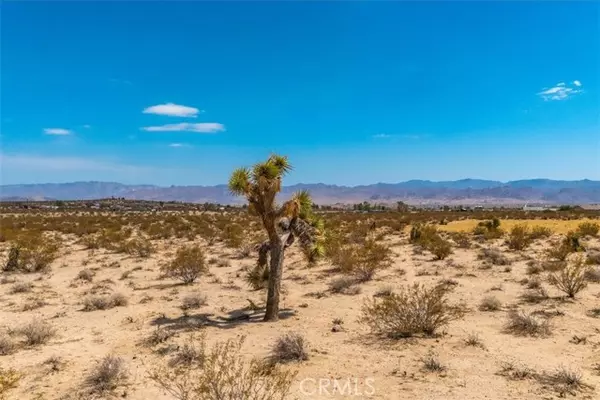 Joshua Tree, CA 92252,2183 Neptune Avenue