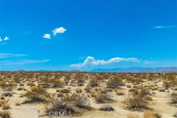 Joshua Tree, CA 92252,67181 29 Palms Highway