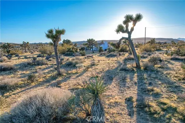 Yucca Valley, CA 92284,3567 Condalia Avenue