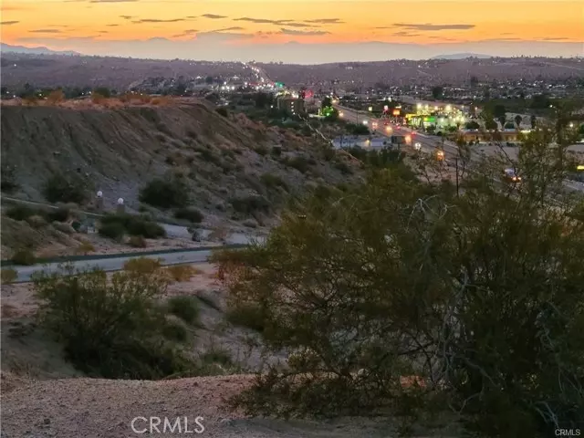 Twentynine Palms, CA 92277,0 Cactus