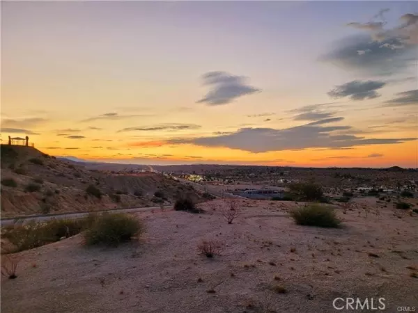 Twentynine Palms, CA 92277,0 Cactus