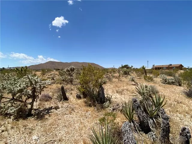 Yucca Valley, CA 92284,59136 Wilcox Lane