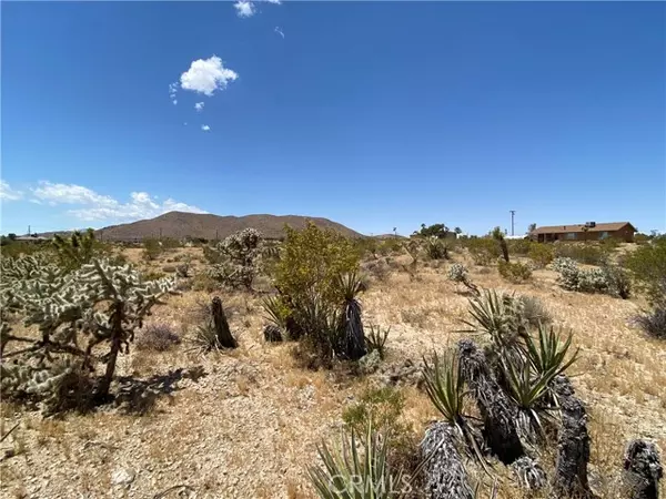 59136 Wilcox Lane, Yucca Valley, CA 92284