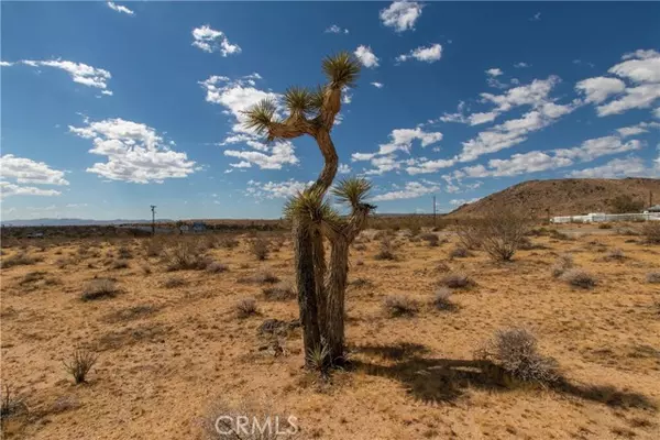 Landers, CA 92285,0 Old Woman Springs