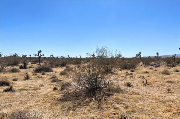 Yucca Valley, CA 92284,2814 Yucca Mesa Road