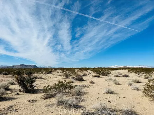 Joshua Tree, CA 92252,1234 Desert Lily Street