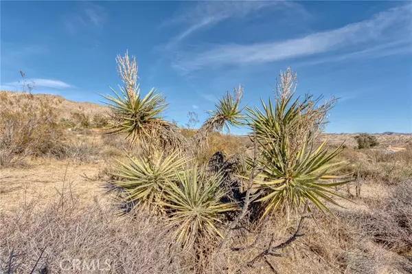 Morongo Valley, CA 92256,321 Pioneer Drive