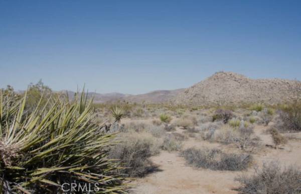 0 Hollywood Lane, Twentynine Palms, CA 92277