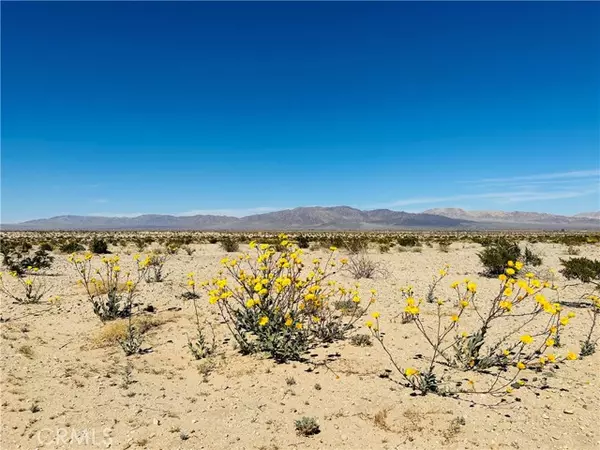 Twentynine Palms, CA 92277,0 Near Shelton Road