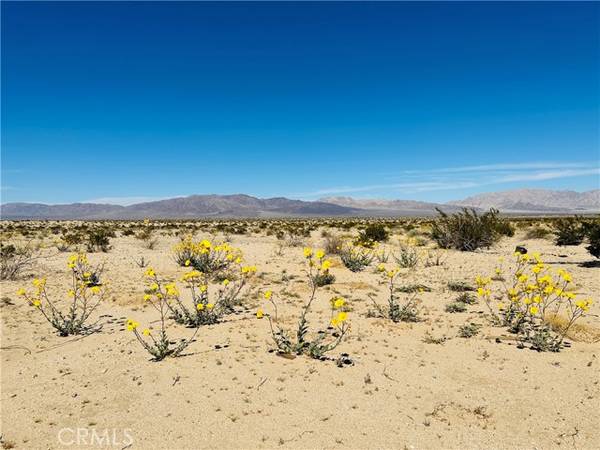 0 Near Shelton Road, Twentynine Palms, CA 92277