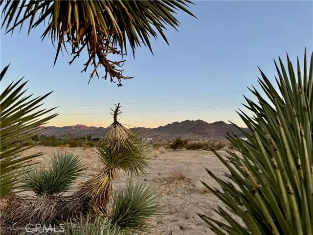 Joshua Tree, CA 92252,5858 Neptune Road