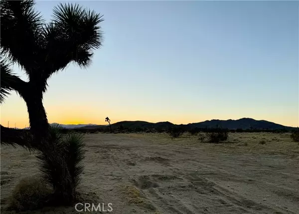 Joshua Tree, CA 92252,5858 Neptune Road