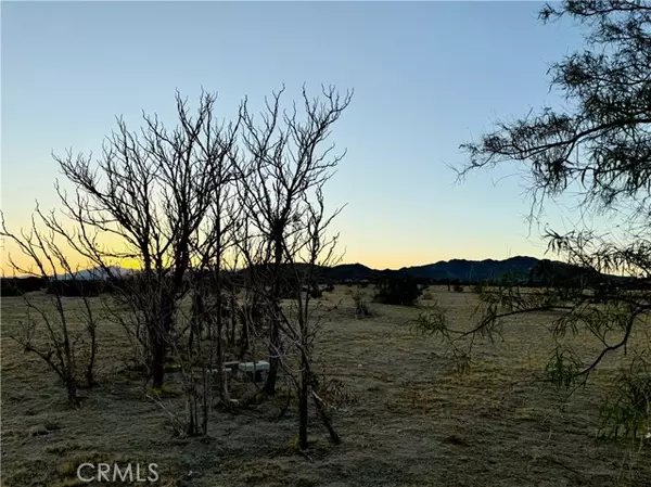 Joshua Tree, CA 92252,5858 Neptune Road