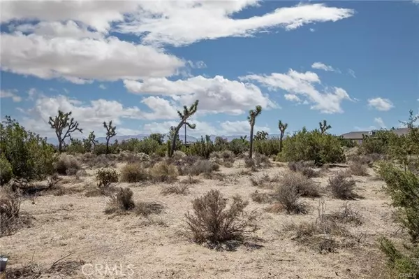 Yucca Valley, CA 92284,999 Grand Avenue