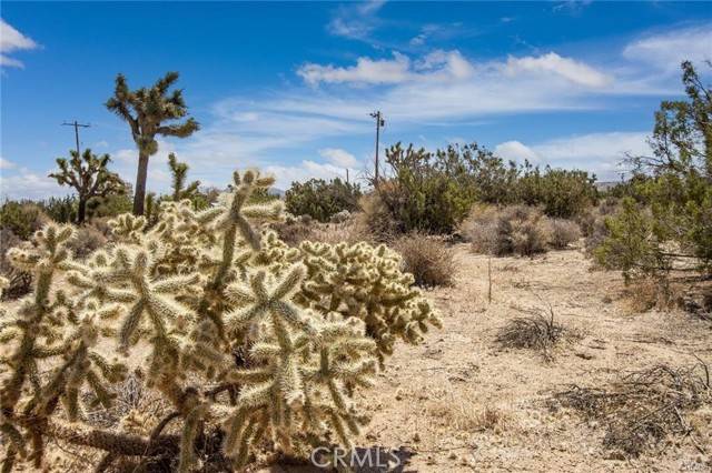 Yucca Valley, CA 92284,999 Grand Avenue