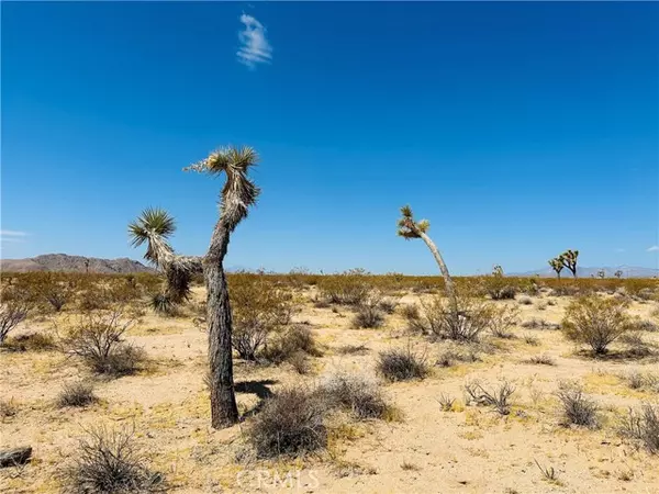 Joshua Tree, CA 92252,5 Sunset Road