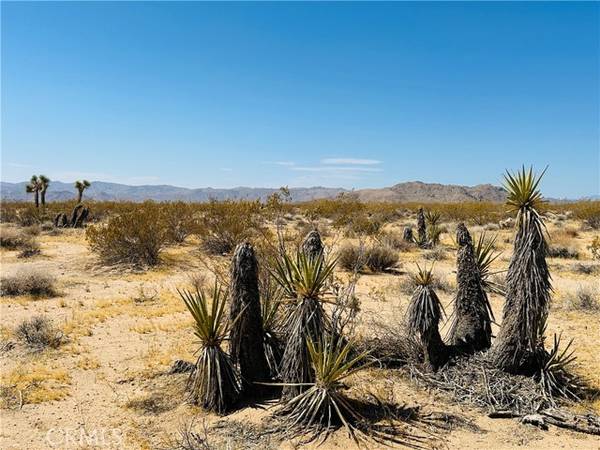 5 Sunset Road, Joshua Tree, CA 92252