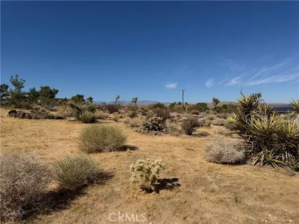 Joshua Tree, CA 92252,7218 Juniper Road