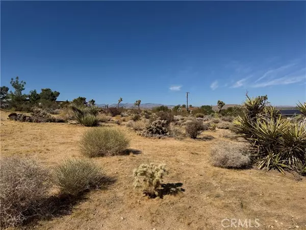 Joshua Tree, CA 92252,7218 Juniper Road