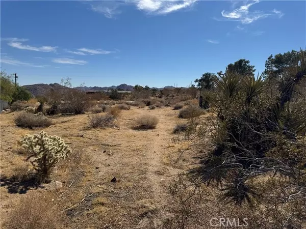 Joshua Tree, CA 92252,7217 Sunny Vista Road