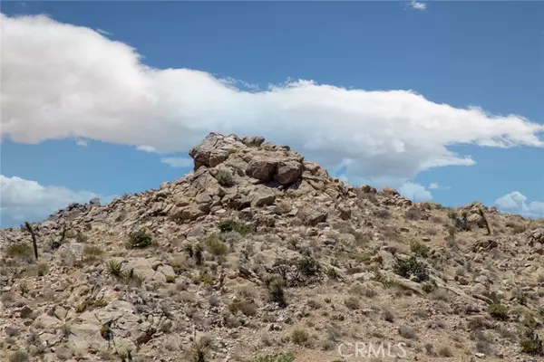 Joshua Tree, CA 92252,60300 Mountain Trail