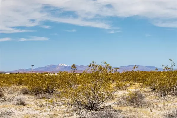 Joshua Tree, CA 92252,2830 Bonair Road