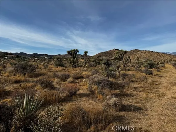 Yucca Valley, CA 92284,0 Plute Trail