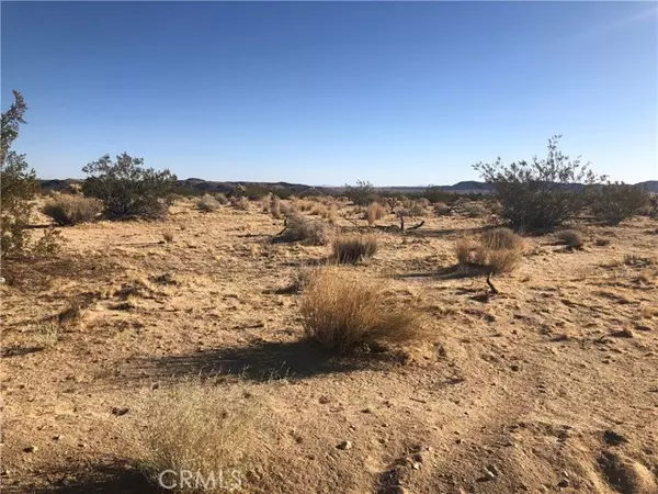 Joshua Tree, CA 92252,5479 Arizona Avenue