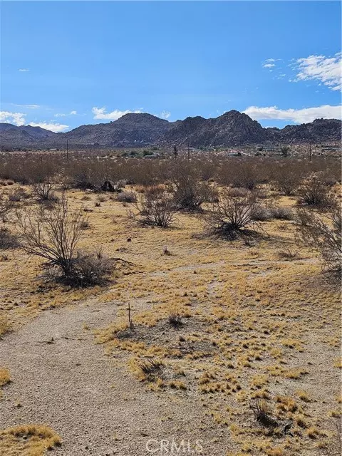 Joshua Tree, CA 92252,0 Twentynine Palms Highway