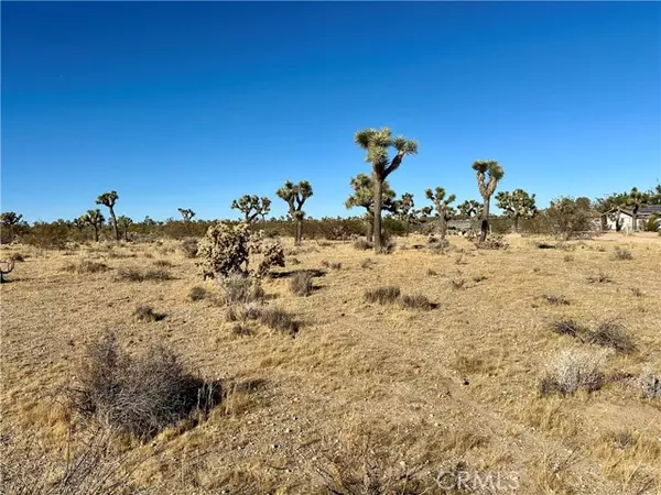 Yucca Valley, CA 92284,4726 Paradise View Road