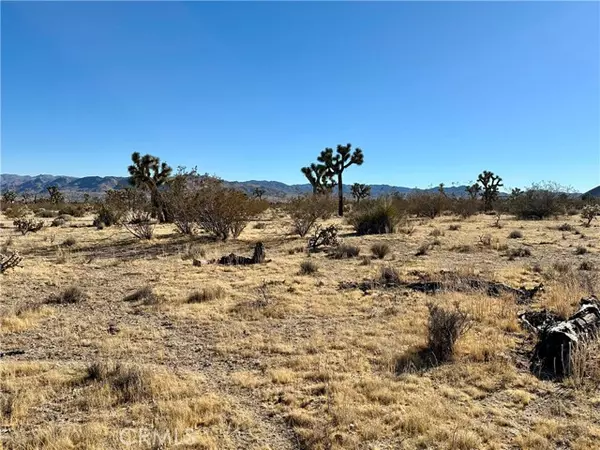 Yucca Valley, CA 92284,4726 Paradise View Road