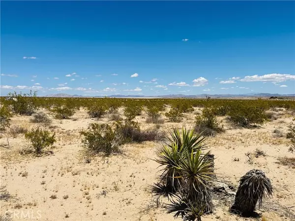 Joshua Tree, CA 92252,2 Milky Way Avenue