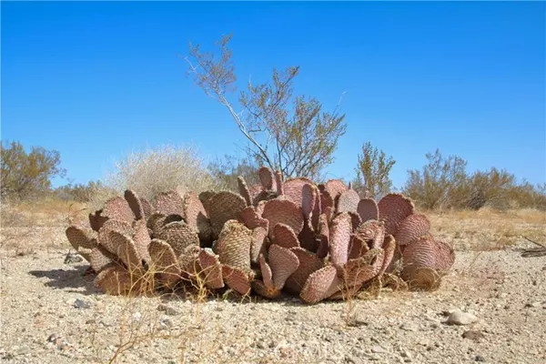 Joshua Tree, CA 92252,0 Moonlight Mesa Avenue