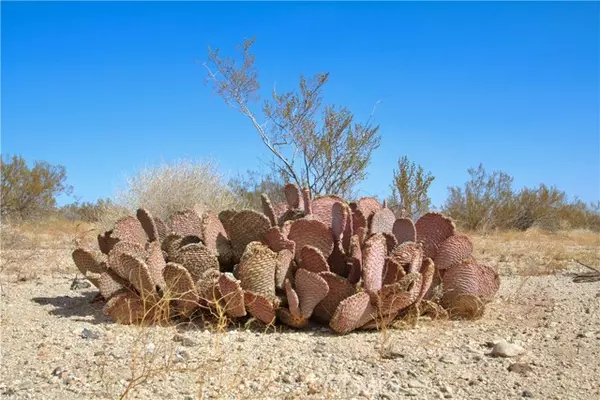 Joshua Tree, CA 92252,0 Moonlight Mesa Avenue