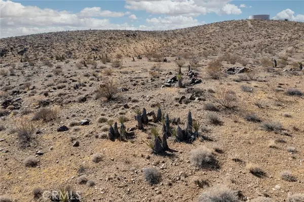 Yucca Valley, CA 92285,1000 Millie Lane