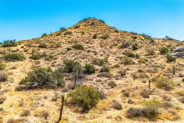 Yucca Valley, CA 92284,8553 Kickapoo Trail