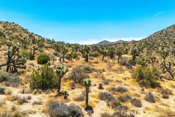 Yucca Valley, CA 92284,8553 Kickapoo Trail