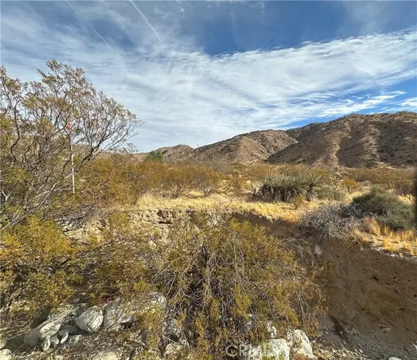 Morongo Valley, CA 92256,12345 29 Palms Highway