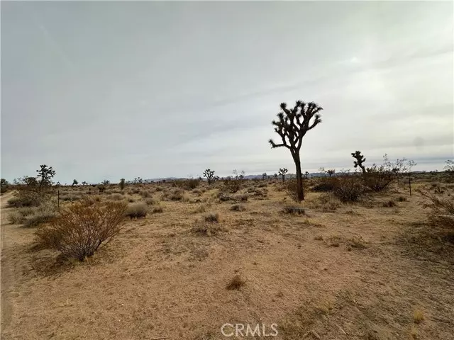 Yucca Valley, CA 92284,0 Canterbury