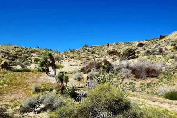 Yucca Valley, CA 92284,5996 Buena Suerte Road